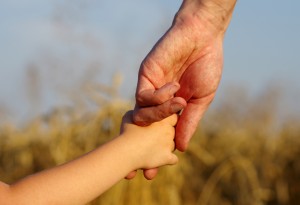 hands of child and father on wheat field