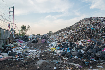 Waste – Governments Too Hard Basket
